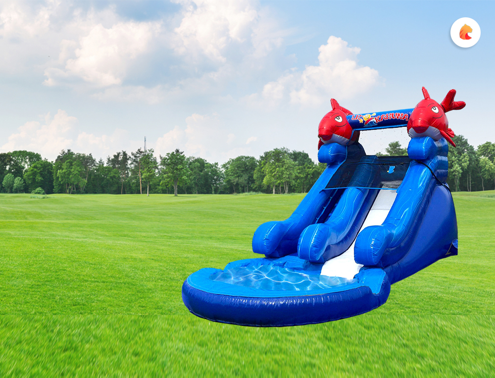Inflatable Water Slides